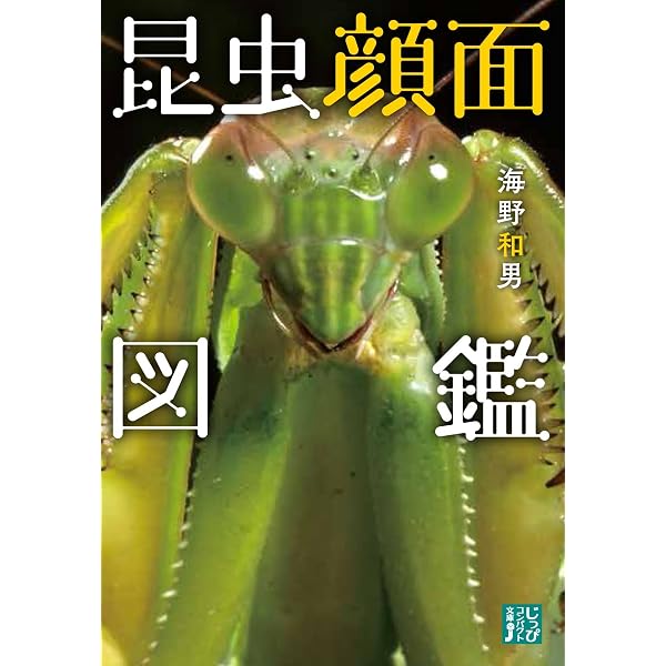 Amazon.co.jp: 昆虫顔面 超拡大図鑑 : 海野 和男, 伊地知 英信, 海野